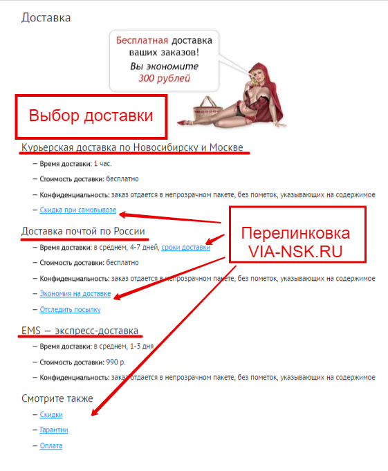 Виды доставки при оформлении заказа на сайте via-nsk.ru