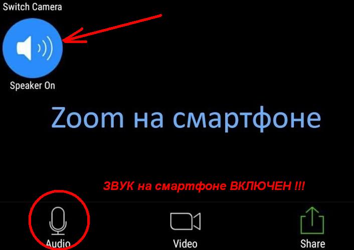 Звук отключения телефона. Громкость звука на телефоне в зуме. Как включить звук в зуме.